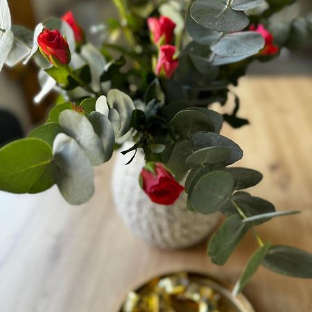 Haus Gitta II Apartment Luckenwalde Bagian luar foto